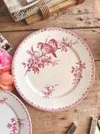 « Favori », assiettes plates, Sarreguemines - Le boudoir luxe de Solenn
