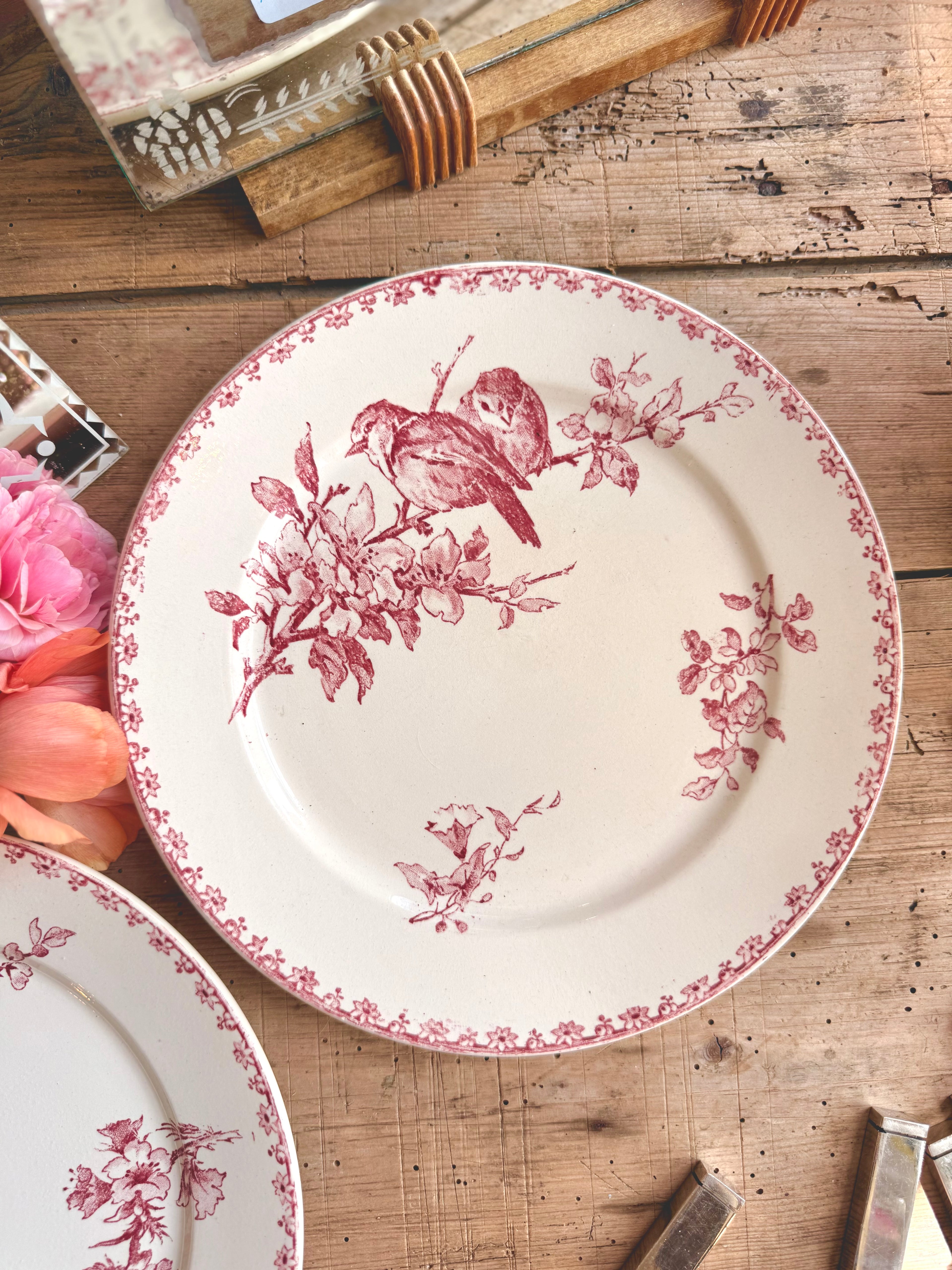 « Favori », assiettes plates, Sarreguemines